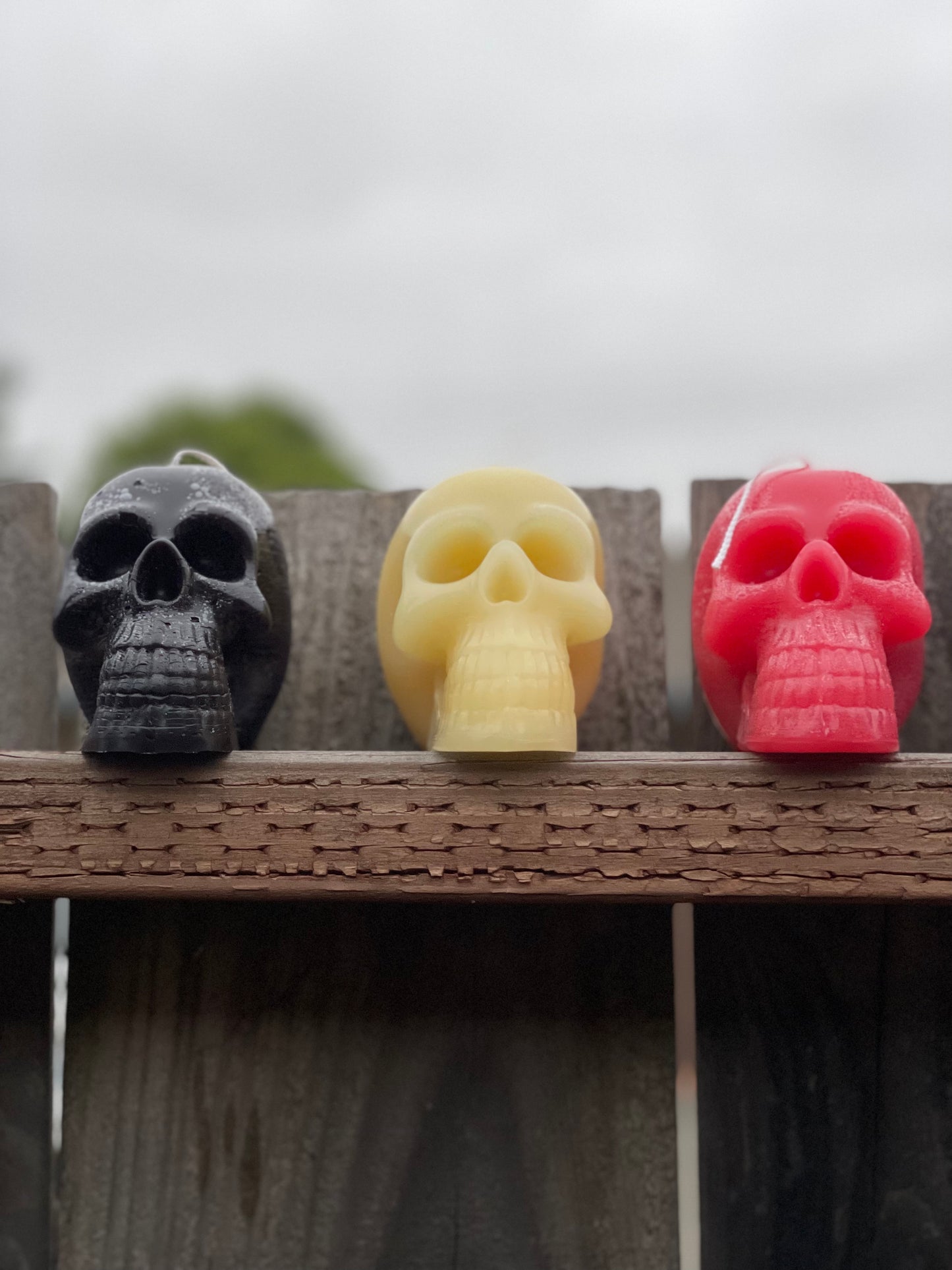 Beeswax Skull Candle